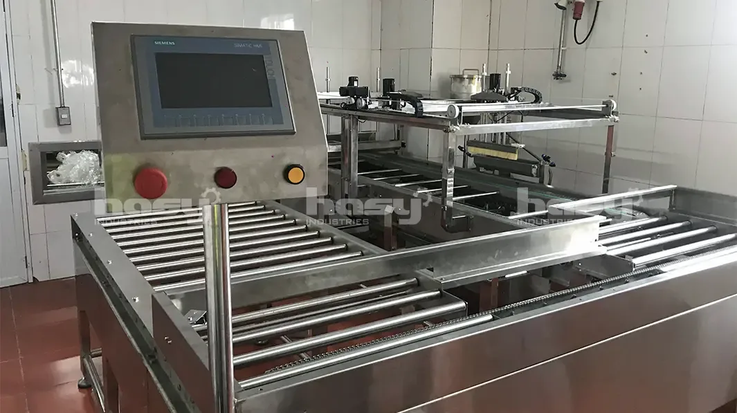 Màn hình điều khiển và băng con lăn dây chuyền quét trứng